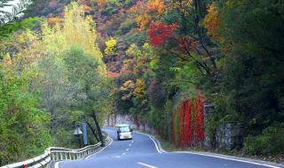 预约家博会门票 预约家博会门票