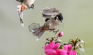 qq怎么快速删除好友