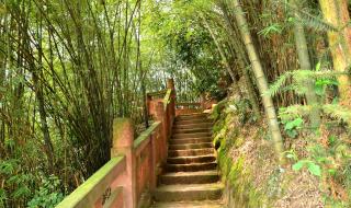 蜀南竹海自驾游攻略