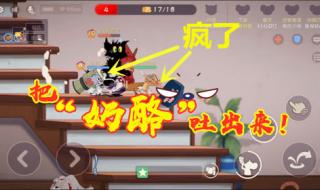 猫和老鼠消失的22集 猫和老鼠消失的22集