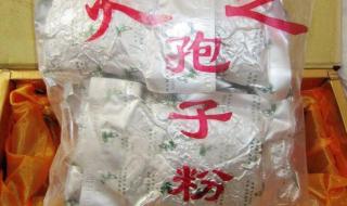 灵芝破壁孢子粉价格