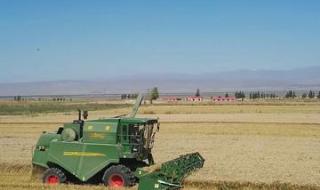 小麦收割机 小麦收割机