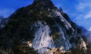 吕继宏再见了大别山