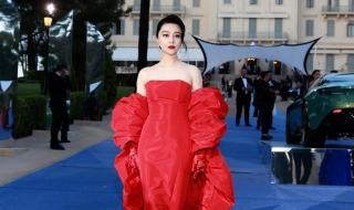 戛纳电影节范冰冰 戛纳电影节范冰冰