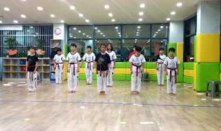 跆拳道虎队表演 跆拳道虎队表演