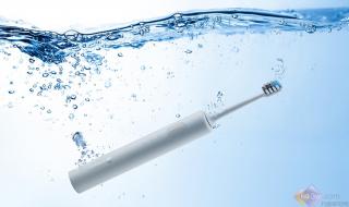 1999年保卫战 1999年保卫战