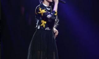 张芸京图片 张芸京图片