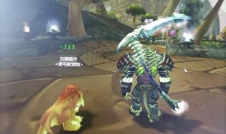 tbc猎人宝宝 tbc猎人宝宝