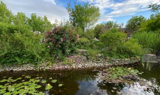 雨后初晴p3 雨后初晴p3