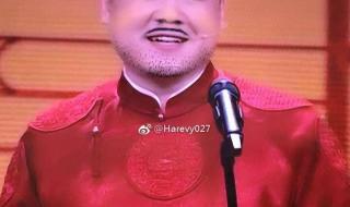 岳云鹏春晚 岳云鹏春晚