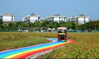 多地景区发布限流公告 多地景区发布限流公告