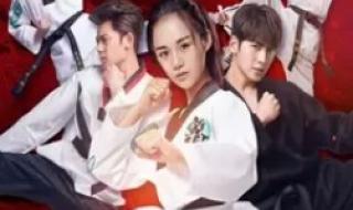 旋风少女有第三季吗