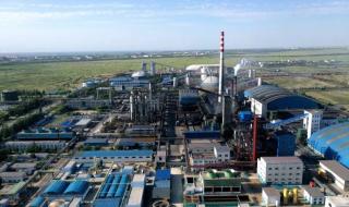 上海焦化有限公司