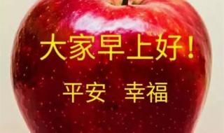 四月唯美句子简短 四月唯美句子简短