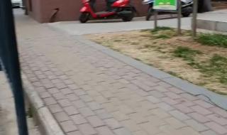 小年下雪有什么预兆