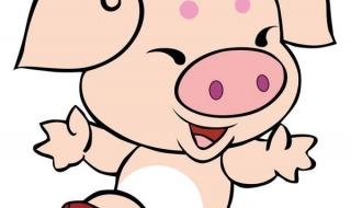 匕鬯不惊是什么生肖 匕鬯不惊是什么生肖