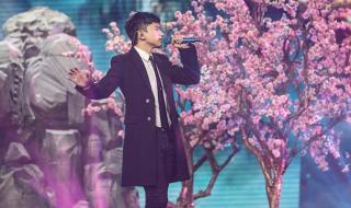 最佳原创歌手奖