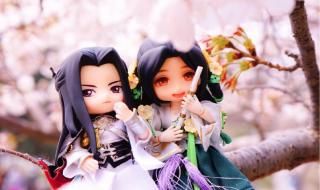 遇见逆水寒春日踏青