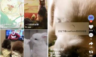 炫酷手机动态壁纸