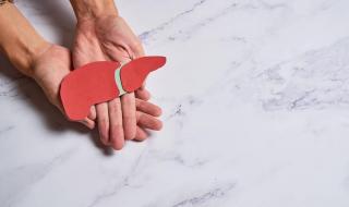 乌龟四肢无力 乌龟四肢无力