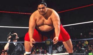 wwe摔跤手全部名单图片